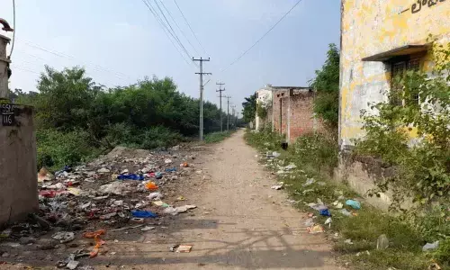 The garbage thrown on the roads in outskirt villages of Madhira municipality