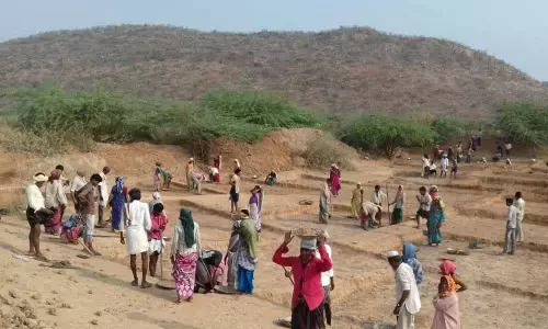 Slash in budgetary allocation for MGNREGS decried (File picture) Slash in budgetary allocation for MGNREGS decried (File picture)