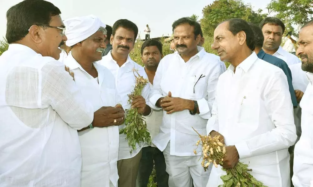 CM KCR interacting with farmer on farm practices at a groundnut farm in Williamkonda Thanda on Thursday