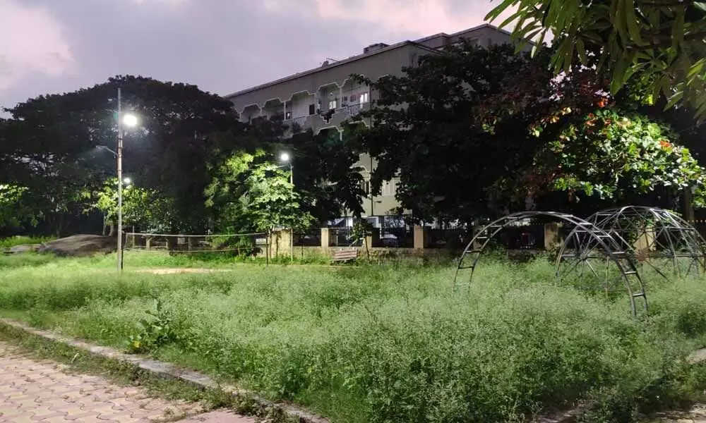 Better upkeep of parks on wish list of SCB residents