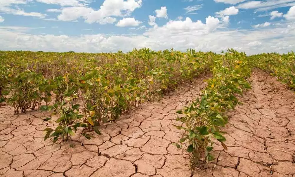 Farming impacted by climate change