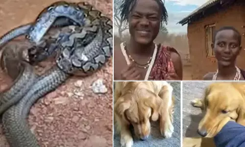 Top Trending Videos Of The Week ( 27 November - 3 December )