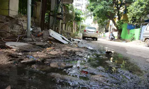 The parks have become haven for anti-social elements with cases of eve-teasing reported many a time