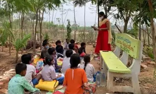 Students studying under the trees at Palle Prakruthi Vanam