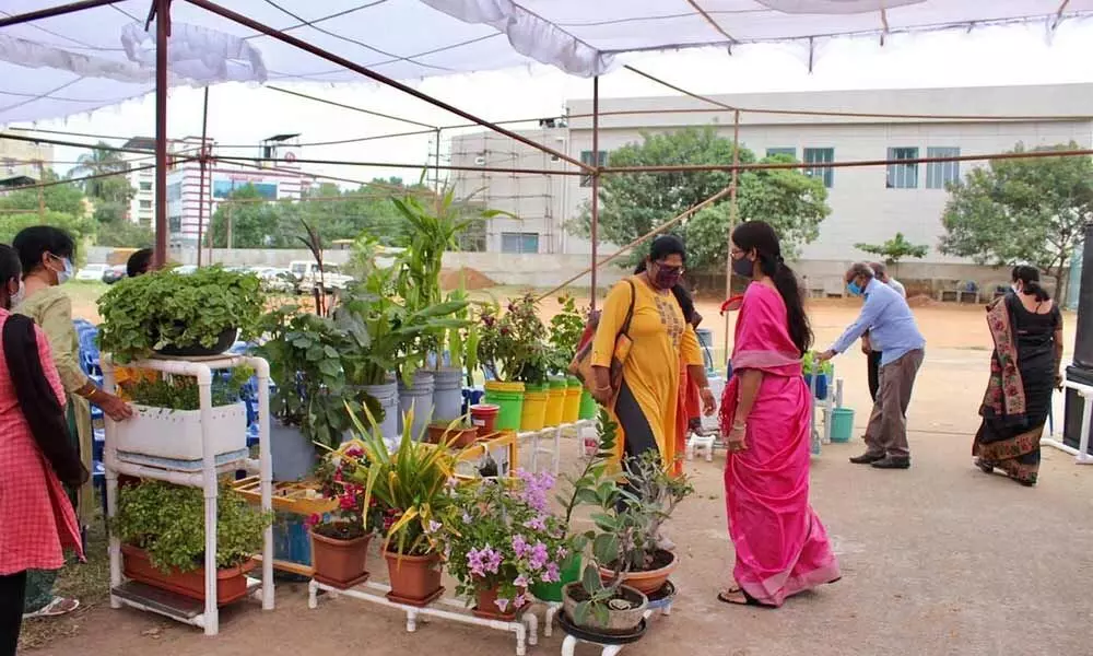 Visitors at the Visakha Organic Fair – 2021 in Visakhapatnam on Saturday