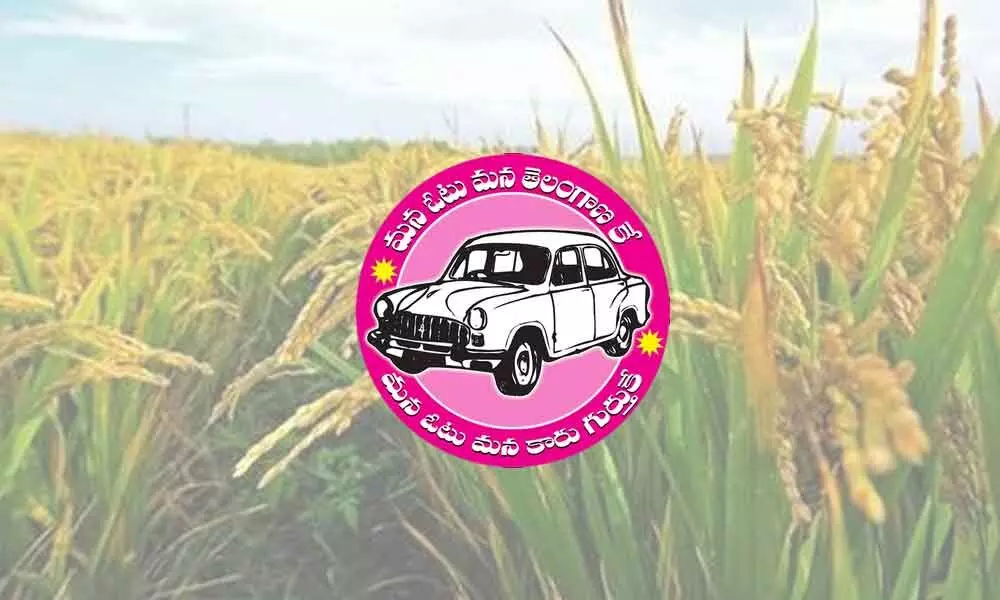 TRS to mount paddy pressure on Centre