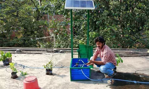 Duo develops eco-friendly products