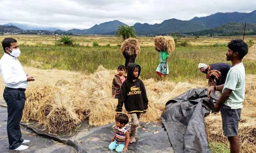 ITDA officials taking stock of the harvested crops in the Agency area in Visakhapatnam