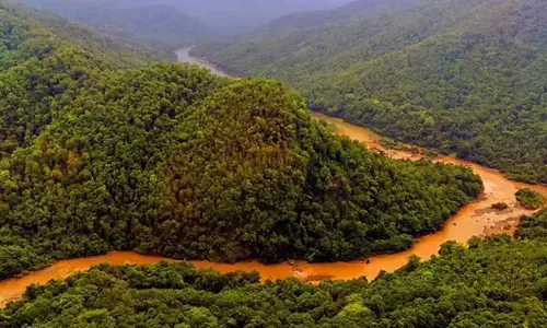 Kerala Advocates For The Reduction Of Environmentally Sensitive Areas.