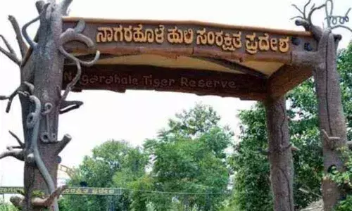 Nagarahole buffer zone