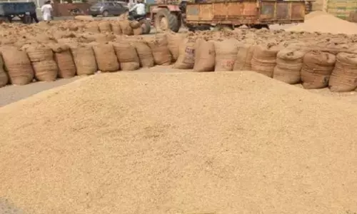 Kodagu officials initiate process to procure paddy at MSP
