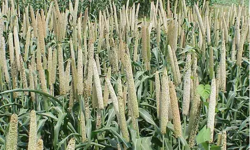 Picture for representational purpose only