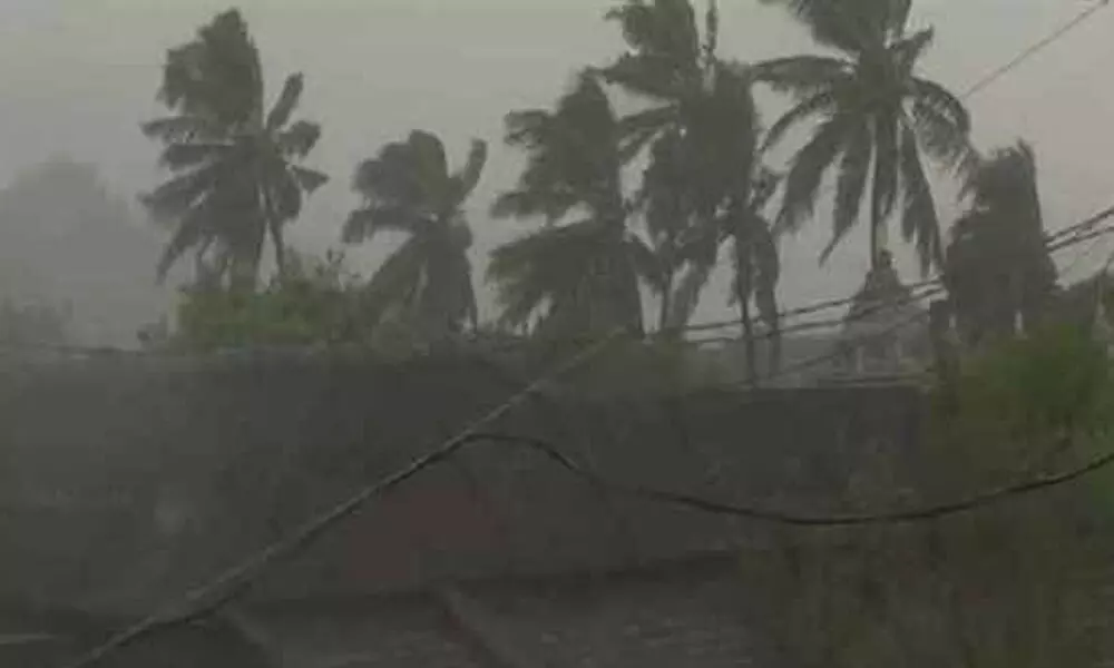 Bengal plans bio-shield to save it from cyclones