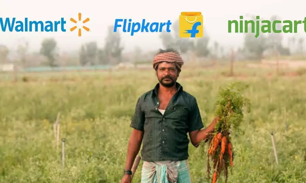 Flipkart, Walmart pump $145mn into Ninjacart