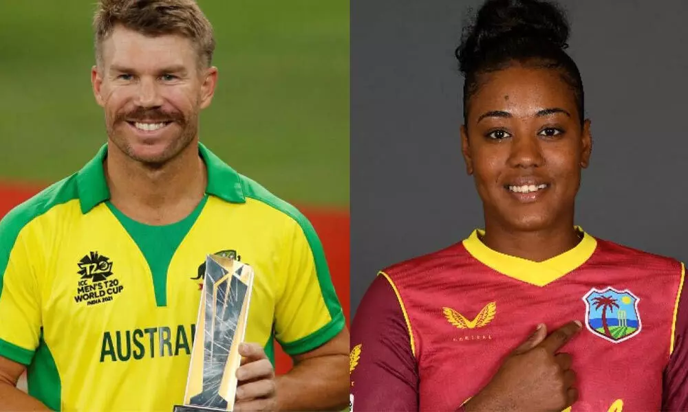 Warner, Hayley named ICC Players of the Month
