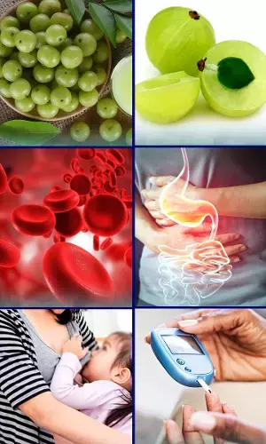 Who all should Avoid Having Amla? Know why?