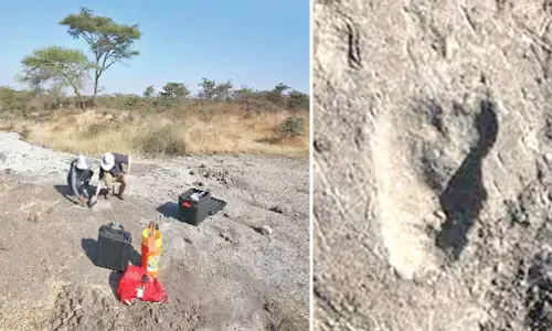 A new species of early humans?