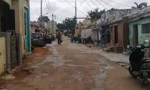 Secunderabad Cantonment Board residents want Entomology wing to contain mosquito menace