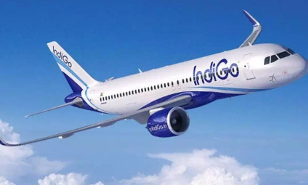 Indigo to cancel 20% of flights