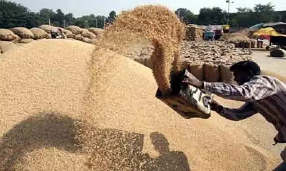 Centre to purchase 6 lakh metric tonnes of paddy from Telangana