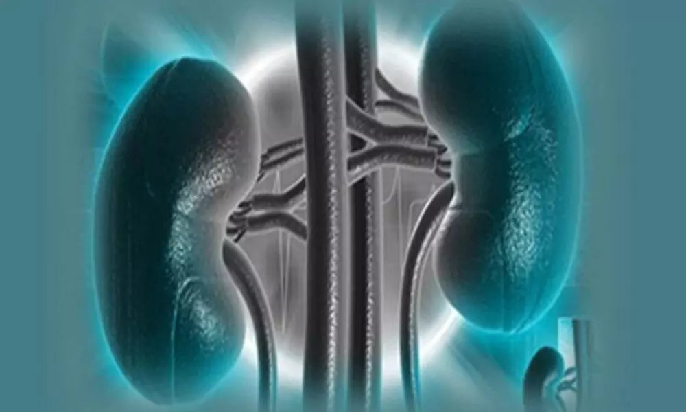 NIMS performs highest no. of kidney transplantations
