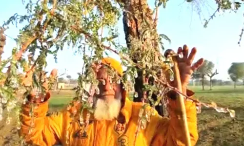 Winter chill grips Rajasthan, Fatehpur shivers at -1.6 degrees