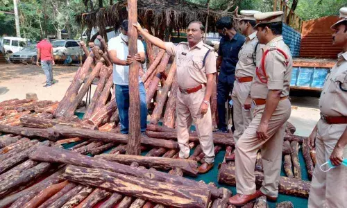 Task Force SP Meda Sundar Rao  looks at the seized logs  at his office on Saturday