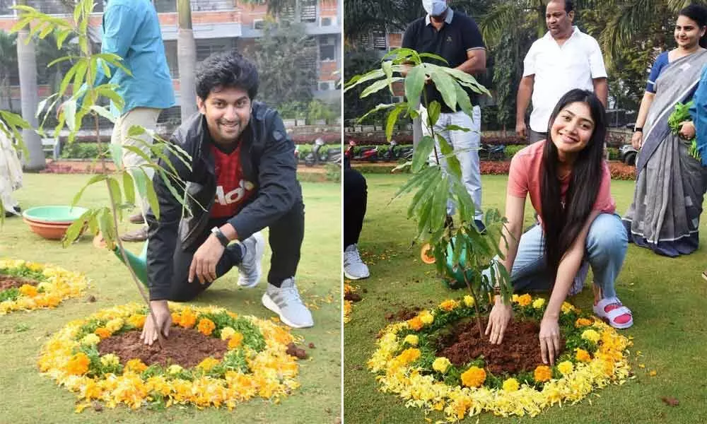 Tollywood actors Nani and Sai Pallavi planting saplings at GHMC Park in Prashashan Nagar in Jubilee Hills in Hyderabad on Sunday