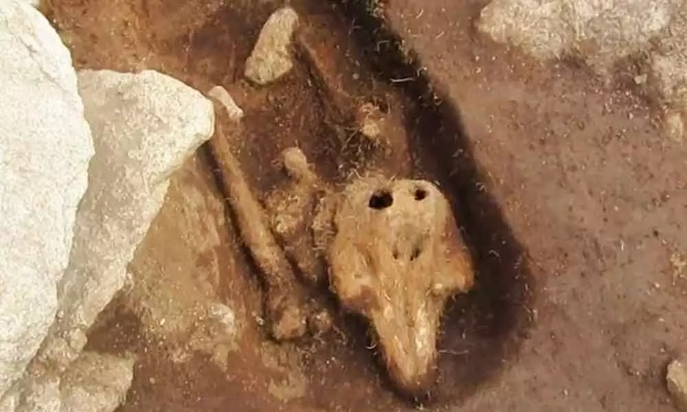 Archaeologists Discovered A Bizarre Burial