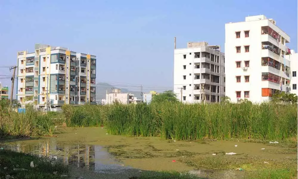 Stagnating stormwater in open land giving unbearable stench