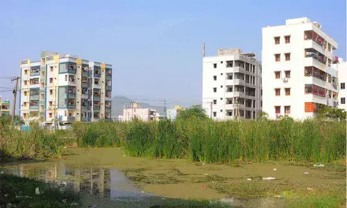 Stagnating stormwater in open land giving unbearable stench