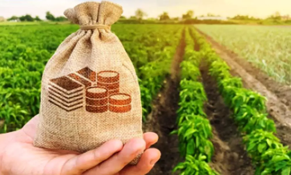 UBI providing agri loans up to Rs 1.35L per acre