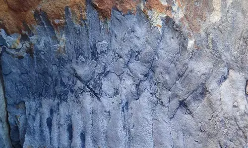 Scientists Discovered 326 million-Year-Old Fossil Remainings Of The Worlds Largest Millipede