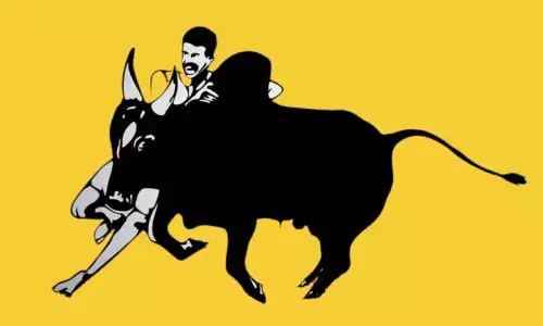 For representational purpose only