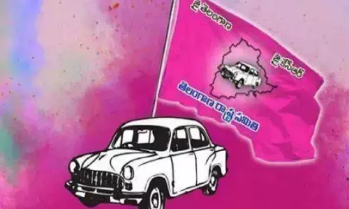 Pink party sees mixed year of gains, losses