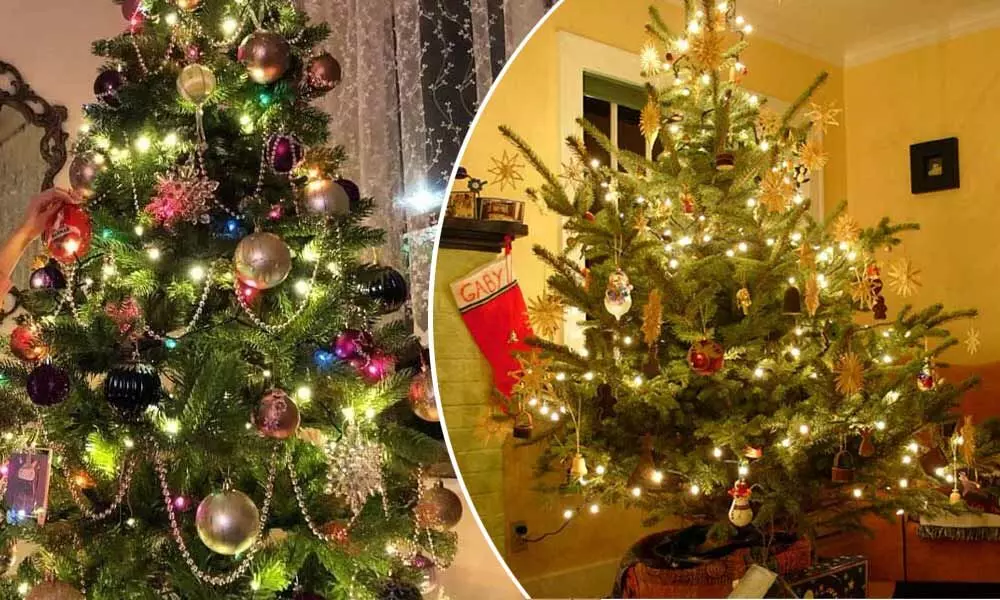 History of Christmas Tree