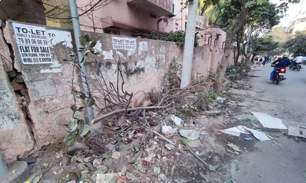 Felling of trees raises hackles of Ram Murthy Colony residents