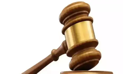 Sarpanch accused of encroachment; plea filed