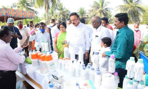 Nuzvid MLA Meka Pratap Apparao interacting with the traders at mango farmers’ awareness programme in Nuzvid on Thursday
