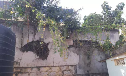 Old library turns a haunted house