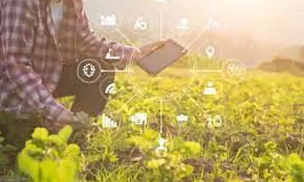 AI-based Mobile App to detect crop disease developed