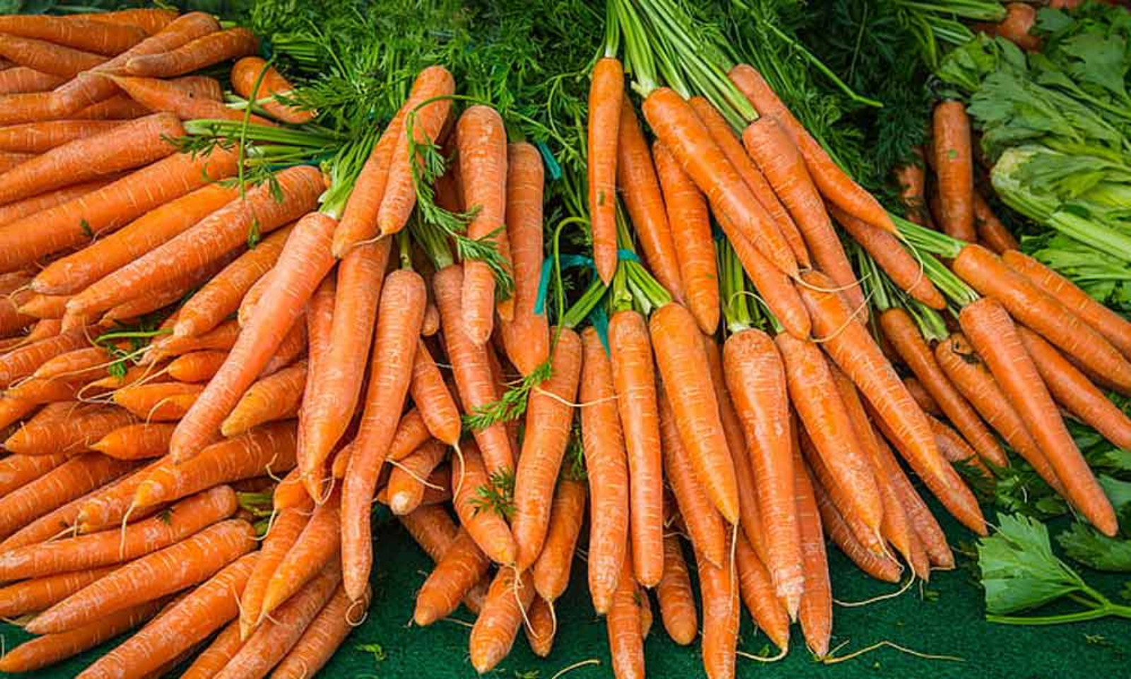 Amazing Benefits of Carrot for Skin and Hair