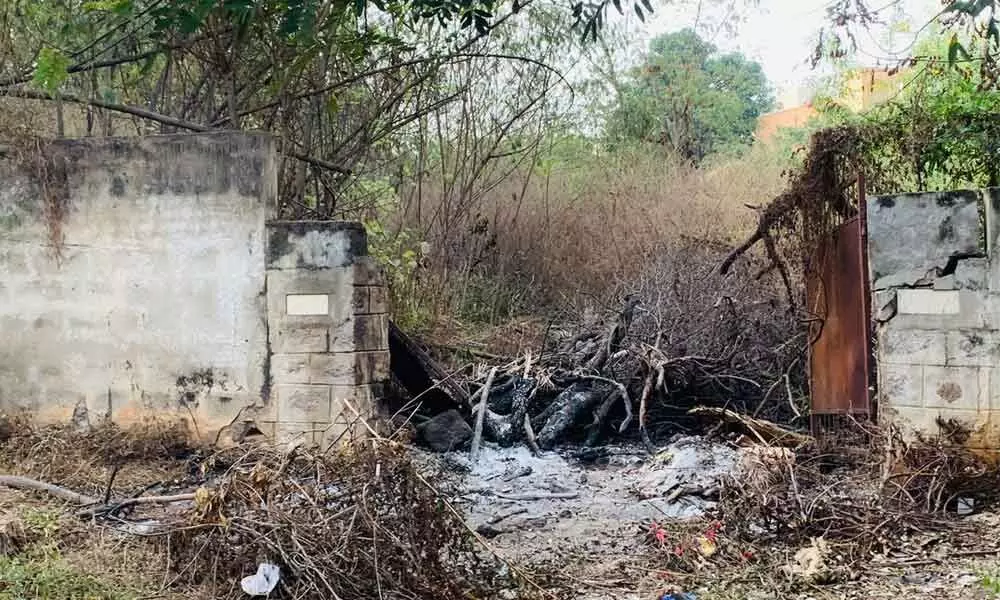 Burning of trees riles Jubilee Hills residents