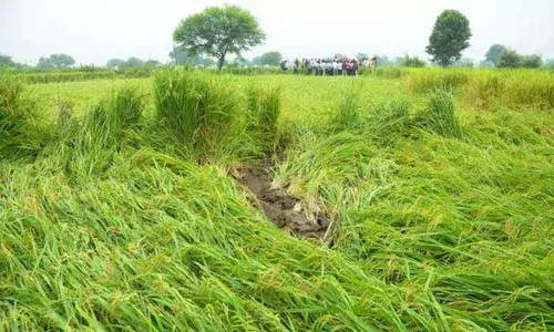 Representational Image