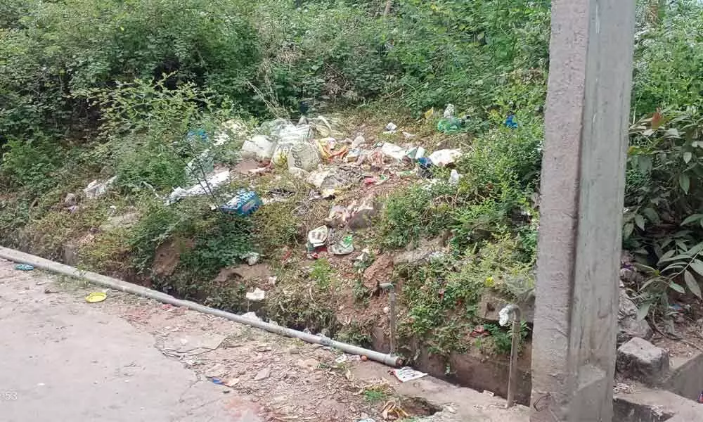 Garbage dumped on roadside as sanitary staff are not collecting it at doorsteps