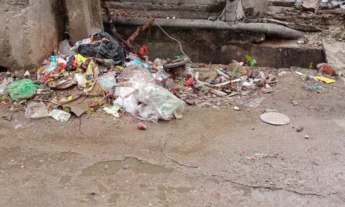 Garbage left uncleared by the sanitary staff in the 35th division