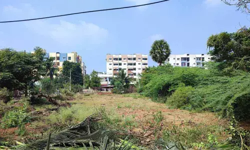 An undeveloped park in the neighbourhood