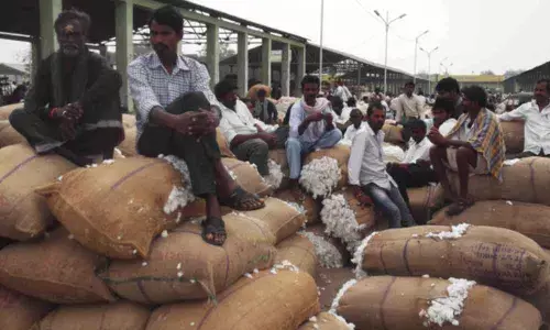 Cotton bales at Enumamula Agriculture Market Yard in Warangal (Representational pic)