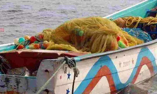 For representational purpose only