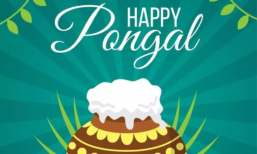 Happy Pongal 2022: Wishes, Messages, Quotes, Images, Facebook & Whatsapp status